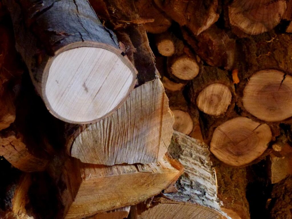wood-log-aaet-3